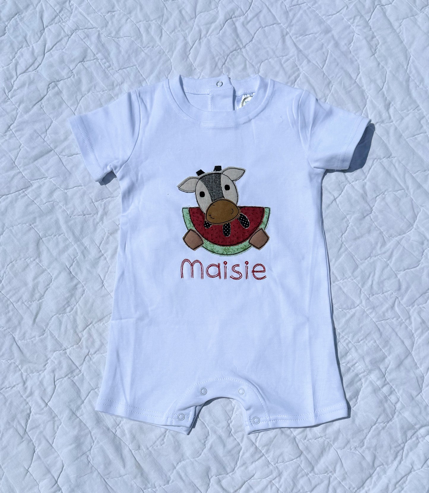 Watermelon Embroidery